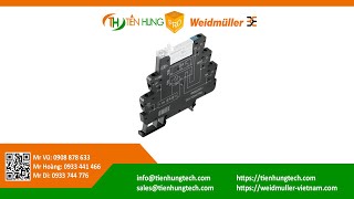 WEIDMULLER  RELAY MODULE TRS 24VDC 1CO  1122770000 TIENHUNGTECH [upl. by Assira]