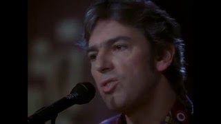 Robyn Hitchcock  1974 live acoustic [upl. by Mcclary191]