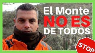 🔔 ¡EL MONTE NO ES DE TODOS ⛔️ Actitudes temerarias en cacerías de jabalí [upl. by Anais103]