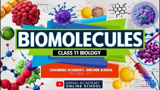 Biomolecules Decoded Unlocking Class 11 Biology [upl. by Nodla]