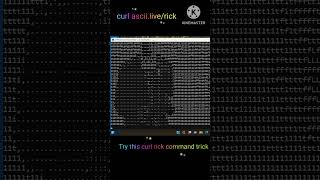 Curl Command Rick Roll Hack Surprise with a GIF [upl. by Zetniuq]