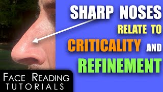 Sharp  Beaked Noses Relate To Criticality amp Refinement [upl. by Veejar568]