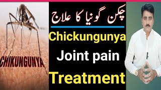 chickungunya Ka illaj in Urdu Hindi Chikungunya Joint pain Treatmentchikungunya jointpain bp [upl. by Ysdnyl]