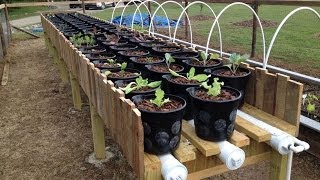 Hybrid Rain Gutter Grow System Step by Step Final Ep [upl. by Berton]