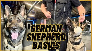 German Shepherd BASIC Training A LEASH  A BALL [upl. by Esorrebma]