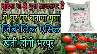 Gibberellic Acid के बारे में संपूर्ण जानकारी [upl. by Crowns59]