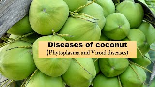 DIseases of coconut Phytoplasma and viroid diseases [upl. by Ancell]