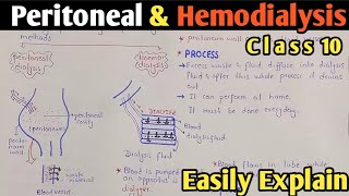 Dialysis  Peritoneal And Hemodialysis  Class 10 Biology [upl. by Jonette]