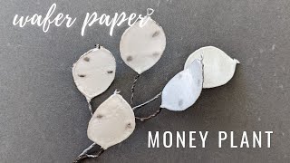 How to make Lunaria Silver Dollar Plant for cake decorating  Florea Cakes [upl. by Fernanda348]