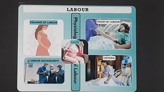 labour  criteria  cause of labour  stage of labour  physiology of normal labour labour stage [upl. by Noelyn652]