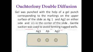 Ouchterlony Double Diffusion [upl. by Yeloc]