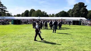 European Pipe Band Championships 2024  Grade 2 Medley  Portlethen and District [upl. by Bouchier]