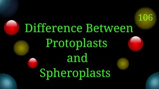 Difference Between Protoplasts and Spheroplasts EnteMicrobialWorldmicrobiology microbes cells [upl. by Ullund]