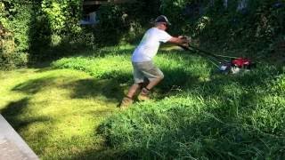 Honda Self Propelled Lawn Mower Cutting Long Grass Pittwater Mowing [upl. by Ahsinrac81]