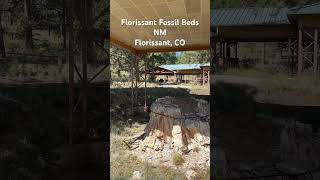 Visiting all National Park Sites 50 Florissant Fossil Beds NM [upl. by Weisburgh966]