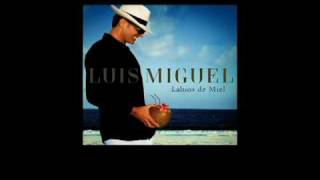 Luis Miguel  Labios de Miel Sencillo Oficial con Letra [upl. by Nath698]