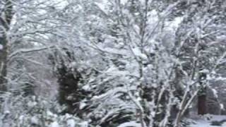 First winter snow in the Hogsback [upl. by Irrep233]