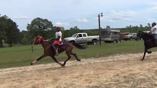 MATCH RACE at the RACE TRACK  STANDARDBRED Race Horses [upl. by Burkhard]