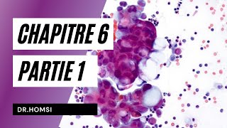 Cytologie  Chapitre 6 P1 La Membrane Plasmique  Dr Homsi [upl. by Enaenaj]