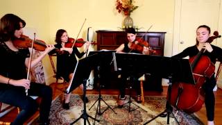 Flightless Bird American Mouth  String Quartet Cover [upl. by Niattirb193]