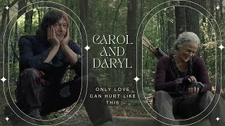 Carol and Daryl  Only Love Can Hurt Like This [upl. by Bannerman]