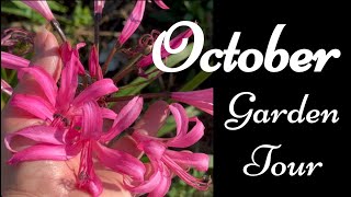 October Garden Tour… what’s still blooming [upl. by Ute276]