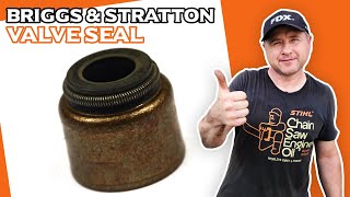 HOWTO Replace Briggs amp Stratton Engine Valve Seals [upl. by Moritz]