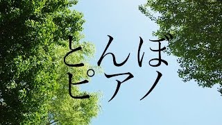 とんぼ ピアノ 癒しBGM！作業用、勉強用などのBGMに！ [upl. by Coshow]