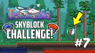 Terraria 13 SKYBLOCK CHALLENGE  Custom Modded Map Challenge  Part 7 [upl. by Tyrus]