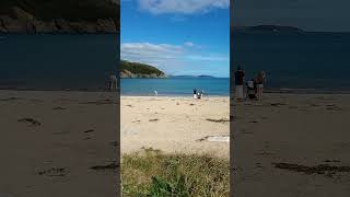 Maenporth Bay beach view nr Falmouth Cornwall England [upl. by Penthea268]