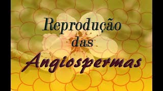 Reprodução das Angiospermas  3 Biologia [upl. by Kipper496]