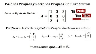 Valores y Vectores Propios de una Matriz Como Probar los Eigenvectores y Eigenvalores [upl. by Arihsay]