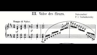 Pyotr Tchaikovsky  Nutcracker Waltz of the Flowers Opus 71 Piano music and score [upl. by Akehs602]