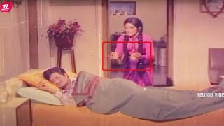 NT Ramarao And Vijayasree Telugu Interesting Love Scene  Telugu Movie  TeluguVideoZ [upl. by Granoff]