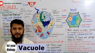 Vacuoles  Vacuoles structure and function  Class 11 [upl. by Theona]