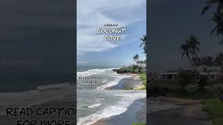 Coconut cove resorts Varkala  Kerala  Best stay in Varkala [upl. by Heid]