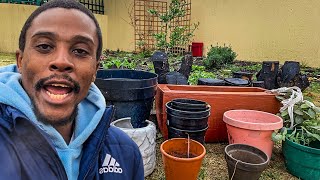 Container Gardening Everything You Need To Know  Gardening South Africa [upl. by Esdras713]