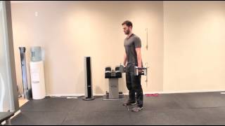 How To Do A Dumbbell Straight Leg Deadlift Bent Over Row [upl. by Teodoro]