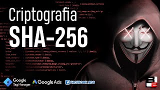 Como Resolver o Erro das Conversões Otimizadas do Google Ads e Facebook Ads Criptografia SHA256 [upl. by Erdnaek]