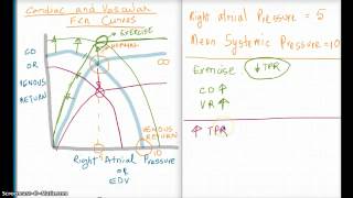 Easy Ways to Understand Cardiac and Vascular Function Curves [upl. by Adnalue]