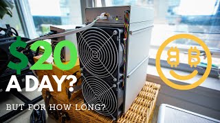 Antminer Z15 PROFITS After 24 Hours On NICEHASH [upl. by Eelac]