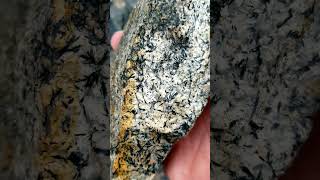 My Daily Rock 14 Mafic Metamorphic Treasures Poudre Canyon Colorado geology rockhounding [upl. by Yard579]