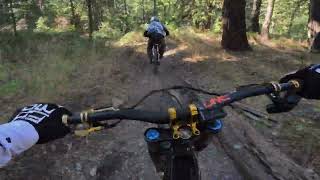 Butcher Trail  Downieville chunky part [upl. by Ojeibbob]