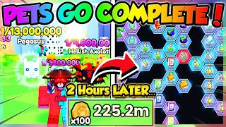 PETS GO COMPLETE in UNDER 3 HOURS Roblox [upl. by Amlas]