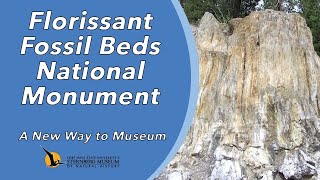 Florissant Fossil Beds National Monument  A New Way to Museum [upl. by Broddie]