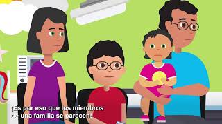 Cómo los cromosomas y genes afectan las condiciones genéticas en los niños Spanish [upl. by Dnilazor]