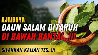 🛑 DAUNNYA NABI KHIDIR ❗ Taruh 3 Lembar Kalau Berani Khasiat Daun Salam Di Bawah Bantal [upl. by Theta]