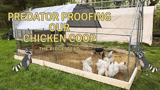 Predator Proof Your Chicken Coop  The Ridgestead [upl. by Tseng]