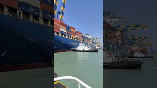 CMA CGM SHIPPING LINE UNBERTHING VIDEO 5TUG shortvideo shiplover shiplovers [upl. by Wales936]