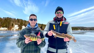 Multi Species Ice Fishing Lake Winnipesaukee [upl. by Dietrich]